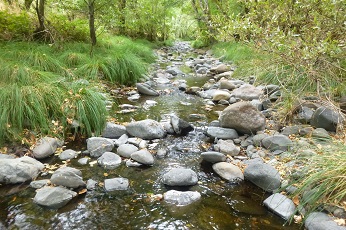 small creek with large stones and grassy banks