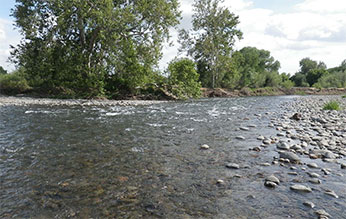 broad, shallow creek