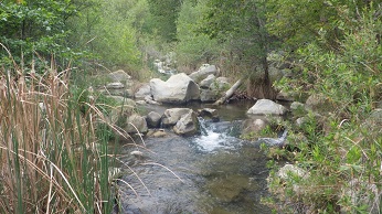 Upper Ventura River