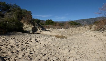 depression with mud-covered rocks