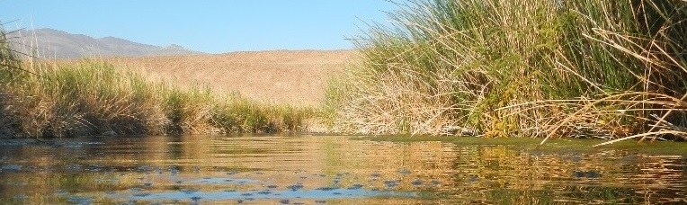 water-level perspective on a pond with surrounding grassy green vegetation and distant brown mountains and blue-sky backdrop