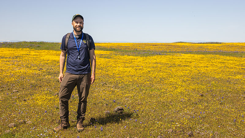 man standing in field of wildlflowers