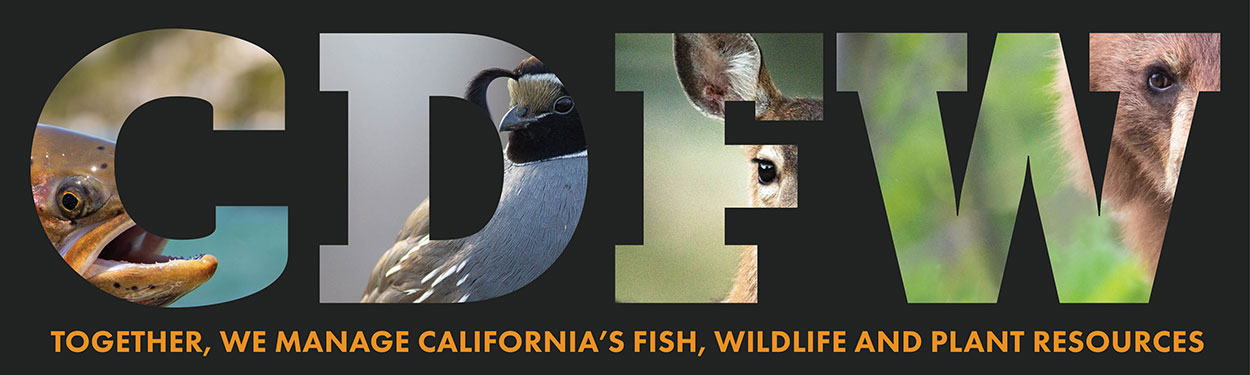 CDFW banner - Together we manage California's fish, wildlife and plant resources