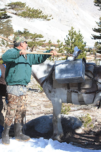 man loading tools onto mule