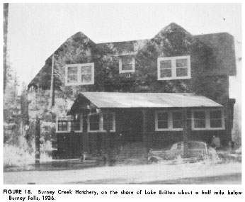 Burney Creek Hatchery - 1936