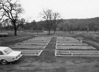 brood ponds as they were in 1964