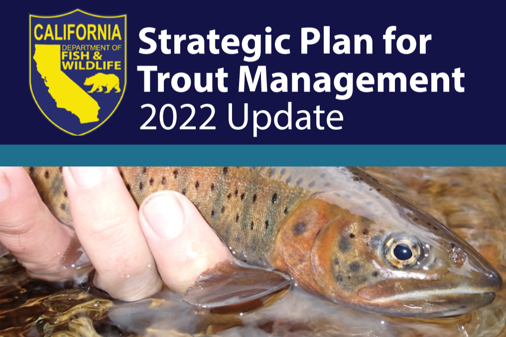 Banner to the Strategic Plan for Trout Management 2022 Update
