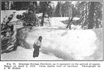 man peering at snow bank