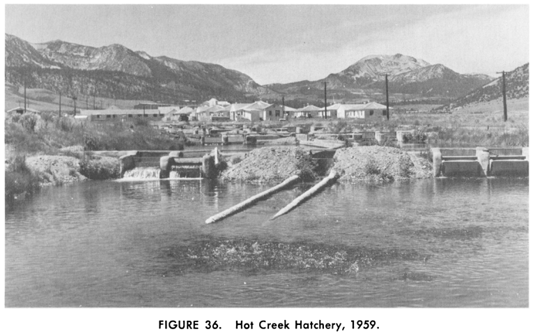 Hot Creek Hatchery, 1959