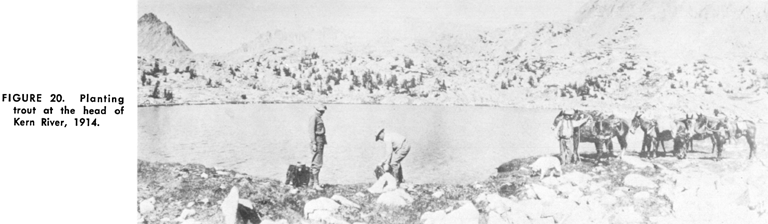 Planting trout at the head of Kern River- 1914