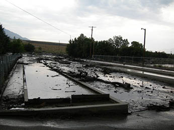 Broodstock ponds after 2008 flood