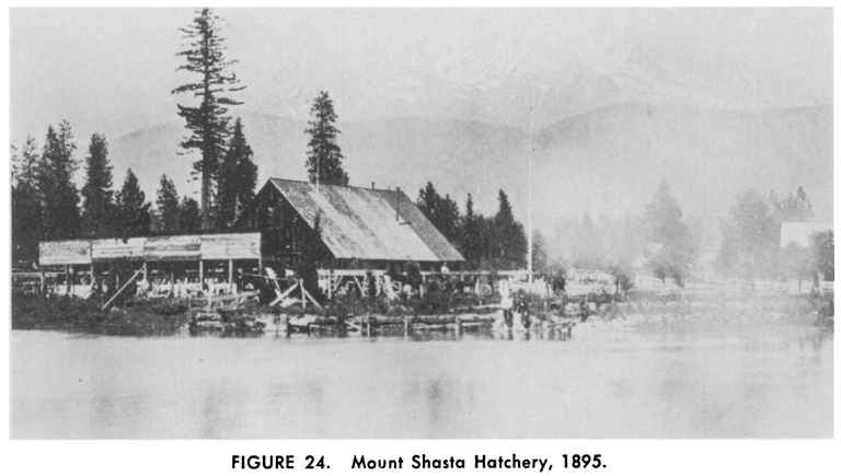 Mount Shasta Hatchery - 1895