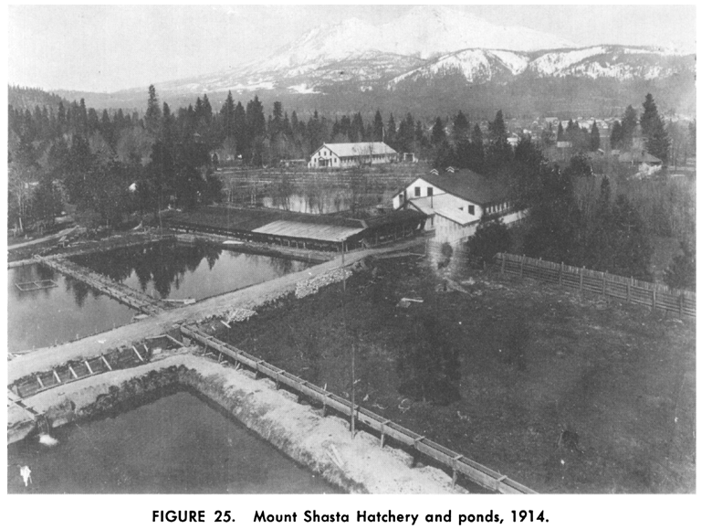 Mt Shasta Hatchery 1914