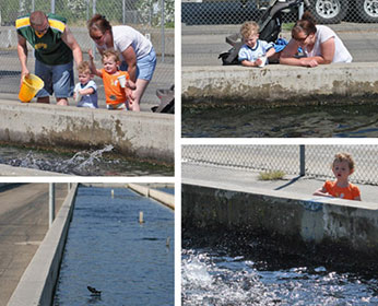 adults and small children at the edge of a raceway ponds