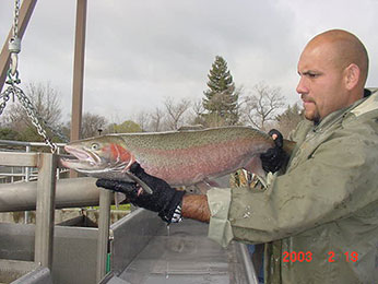 man holding a two foot long fish