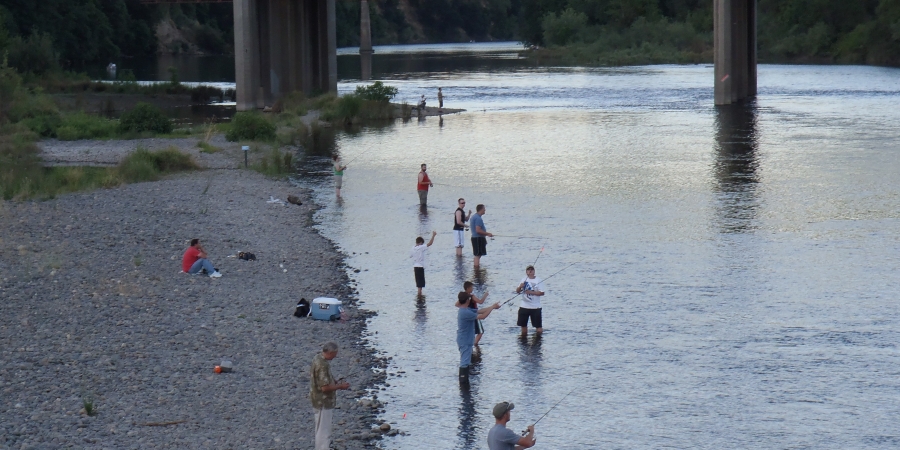 Group of anglers fishing for American Shad on a river bank