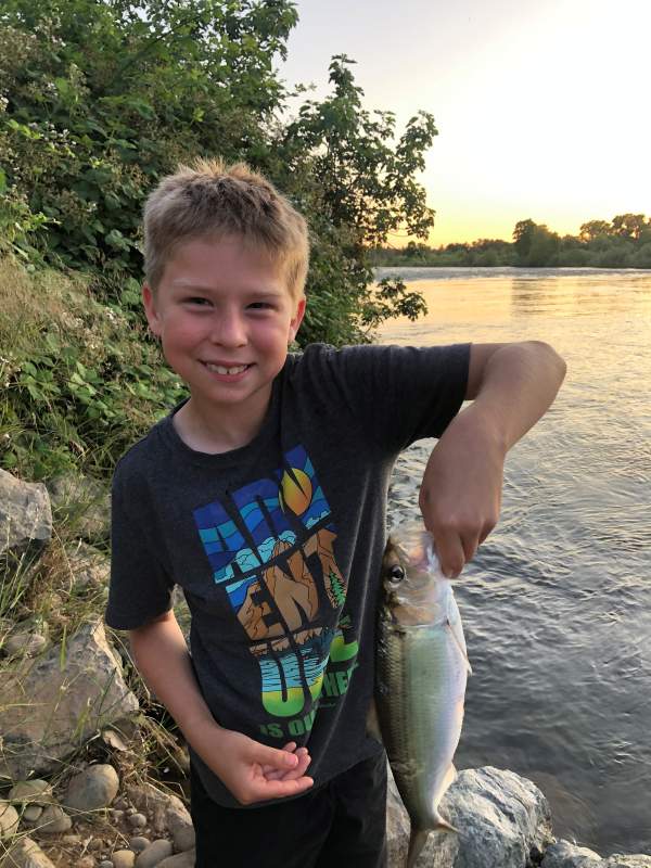 Young angler holding up an American Shad on the bank of a river. CDFW photo by Erin Ferguson