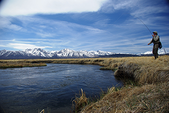 man fishing on the upper Owens River