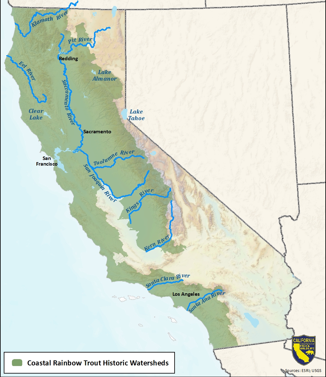 Map of coastal rainbow trout historic watersheds - click to enlarge in new window