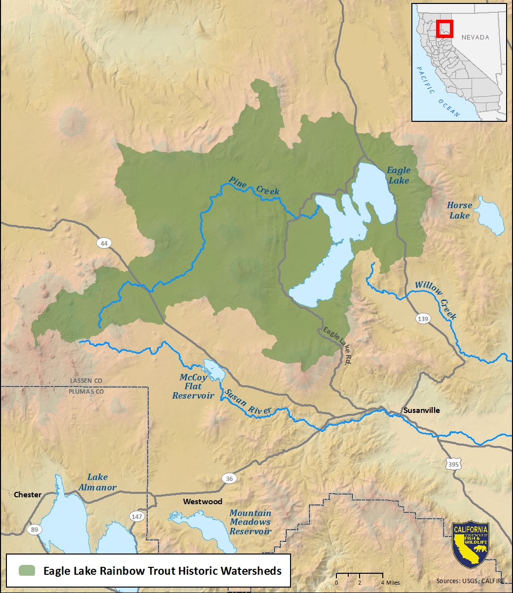 Map of Eagle Lake rainbow trout historic watershed-link opens in new window