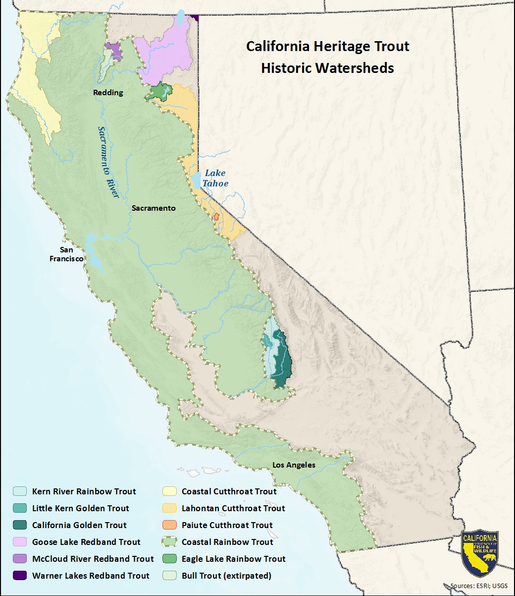 Map of historic trout watersheds - link opens in new window
