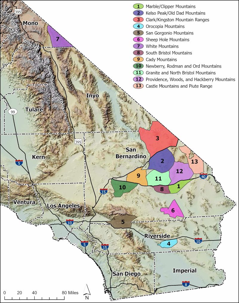 map of bighorn sheep hunt zones - open in new tab