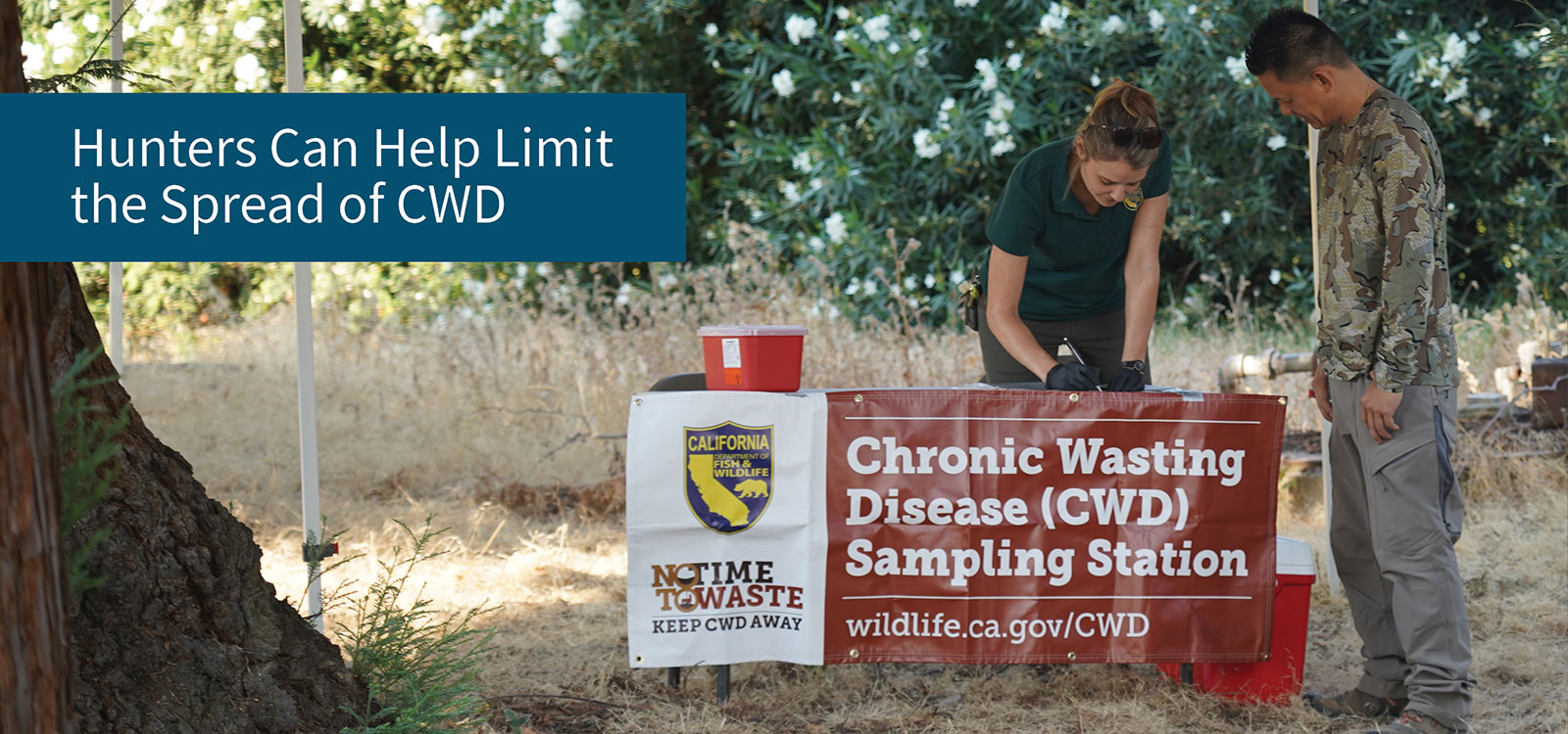 Hunters can help limit the spread of chronic wasting disease - link to CWD page