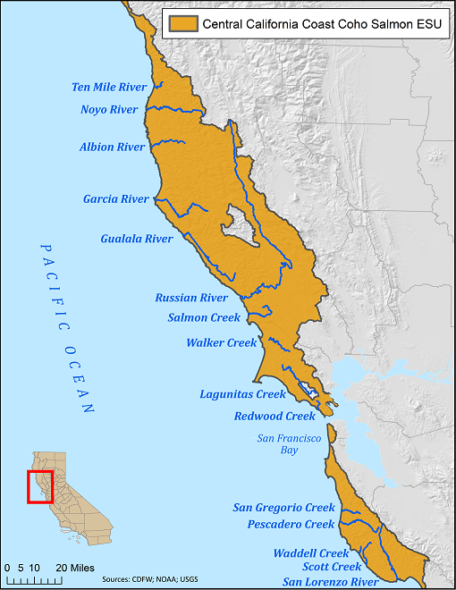 Map of California with habitat of CCC Coho Salmon outlined, as well as a few important CCC streams - click to enlarge in new window