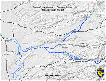 Battle Creek Chinook Reintro Map