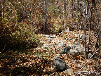 Coldwater Creek – Upper Reach dried out during the summer and autumn of 2014