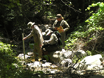 (Coldwater Creek – Middle Reach after several large autumn storms