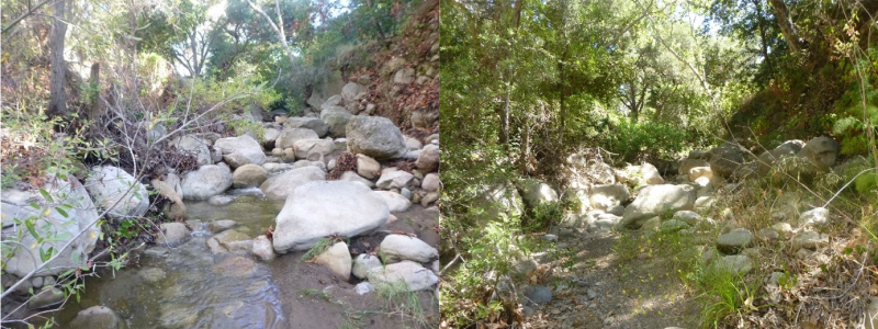 Two photos of same stretch of creek with water and without.
