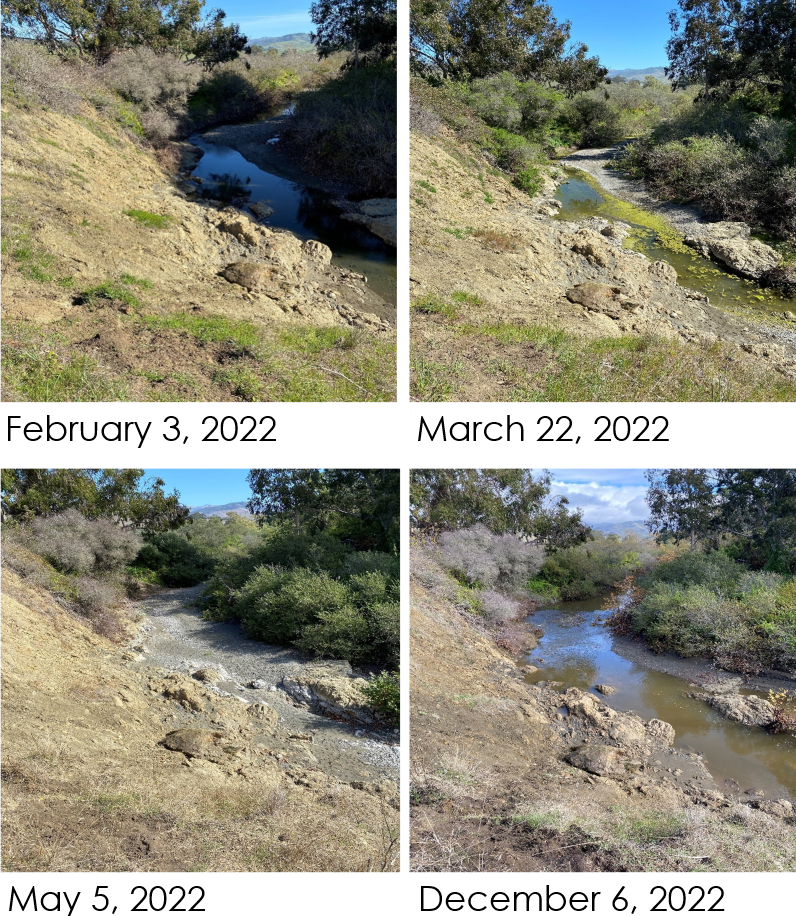 Compilation of 4 photos of San Simeon Creek showing it drying up February 3, March 22, a dry creek on May 5, and a wet creek again on December 2022.