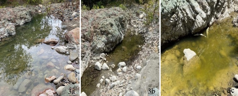 Three side by side images showing the San Simean creek drying up over time.