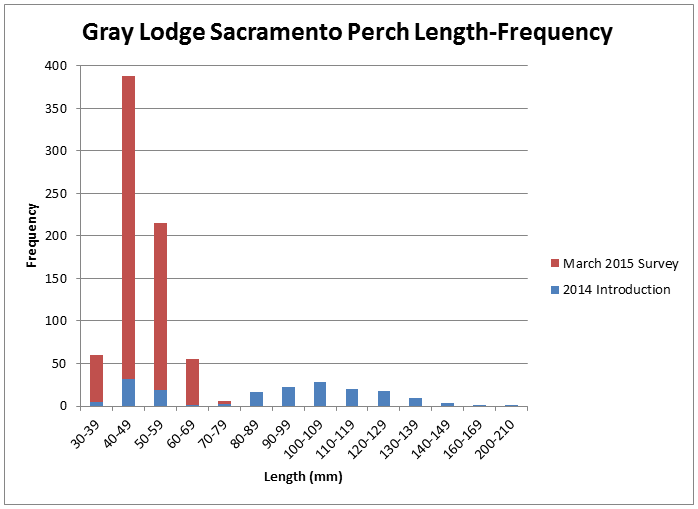 Gray Lodge Sacramento Perch Lengh-Frequency chart