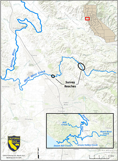 Map of two survey reaches on Mark West Creek, a tributary of the Russian River, where CDFW staff monitored stream flow, water temperature, water depth, and dissolved oxygen during the summer of 2016 - click to enlarge in new window