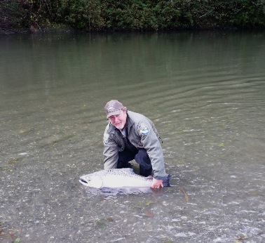 Figure 1. Photograph of CDFW scientist Michael D. Sparkman releasing an adult Chinook Salmon into Redwwod Creek.