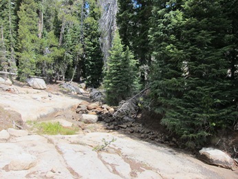 Photo: Mostly dry section of the Heiser Lake outlet creek, 2015