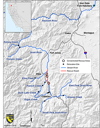 Scott River Coho - Map