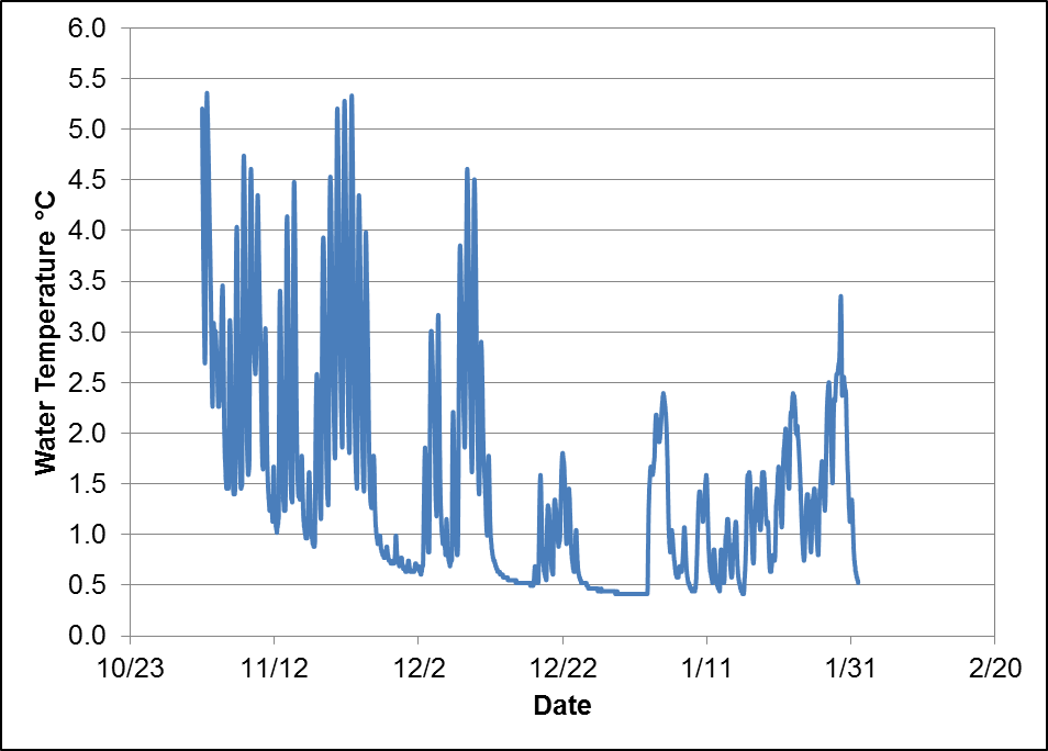 Graph depicting water temperature at Meadow Reach of Volcanic Creek from November 2, 2015 to January 31, 2016. Water temperatures frequently dropped below 1 °C, possibly resulting in anchor ice formation and fish kills.