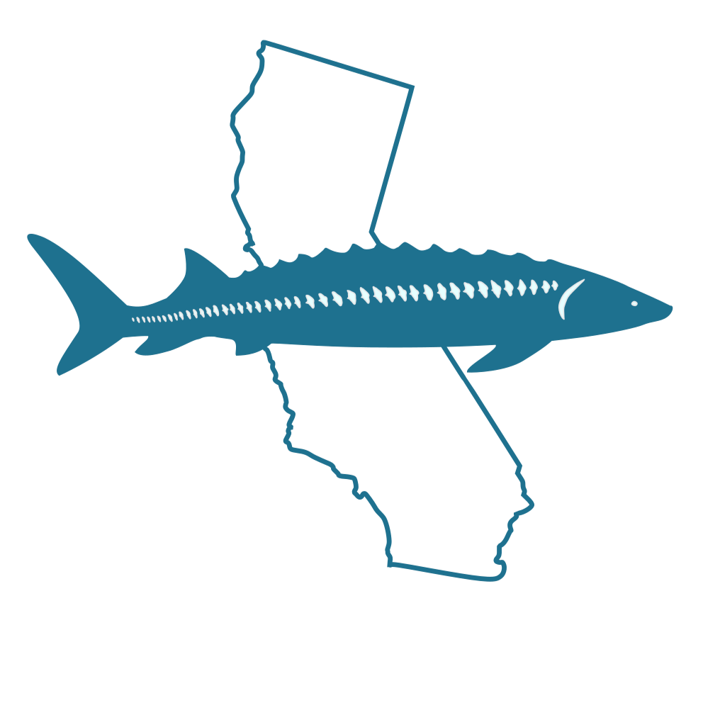 White sturgeon overlaid over a map of California