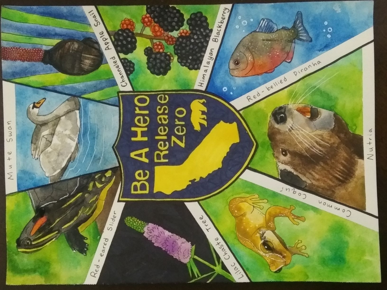 art contest poster
