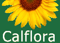 Calflora logo - link to the Calflora website opens in new window