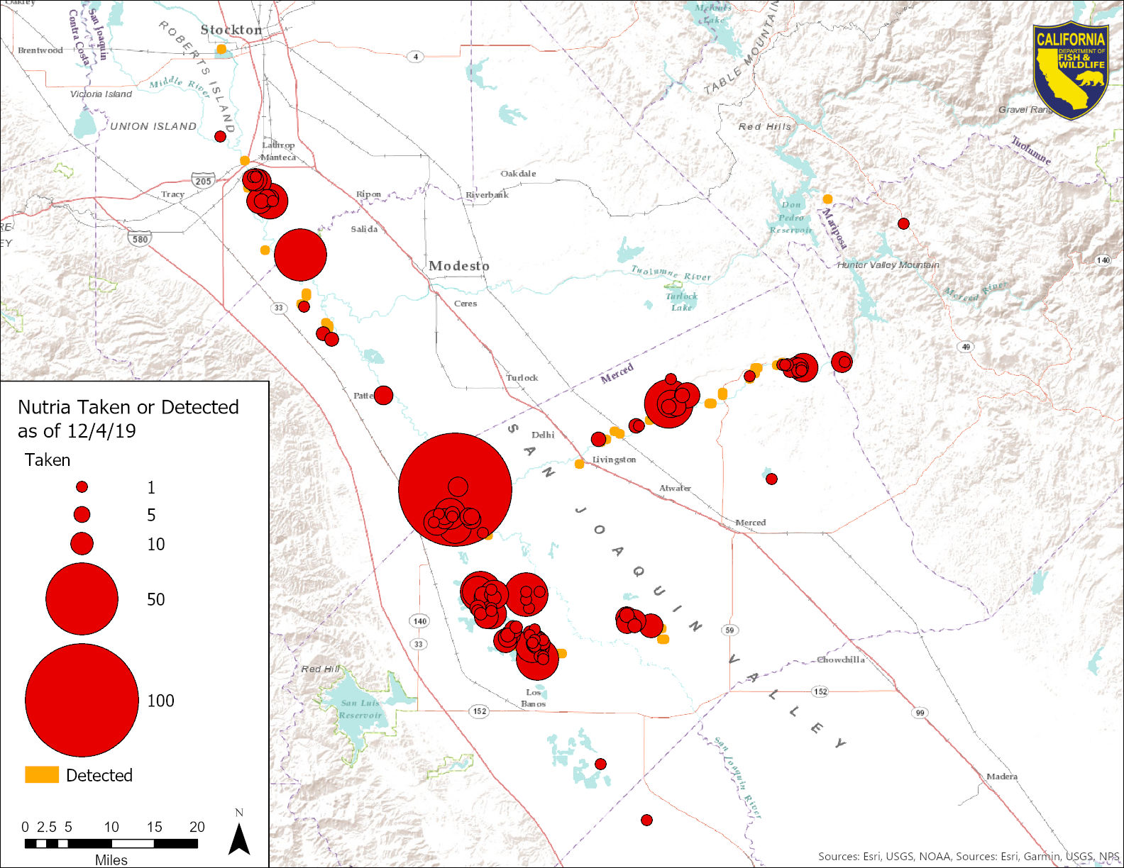 Map showing locations and densities of nutria taken or otherwise detected in California as of December 4, 2019.