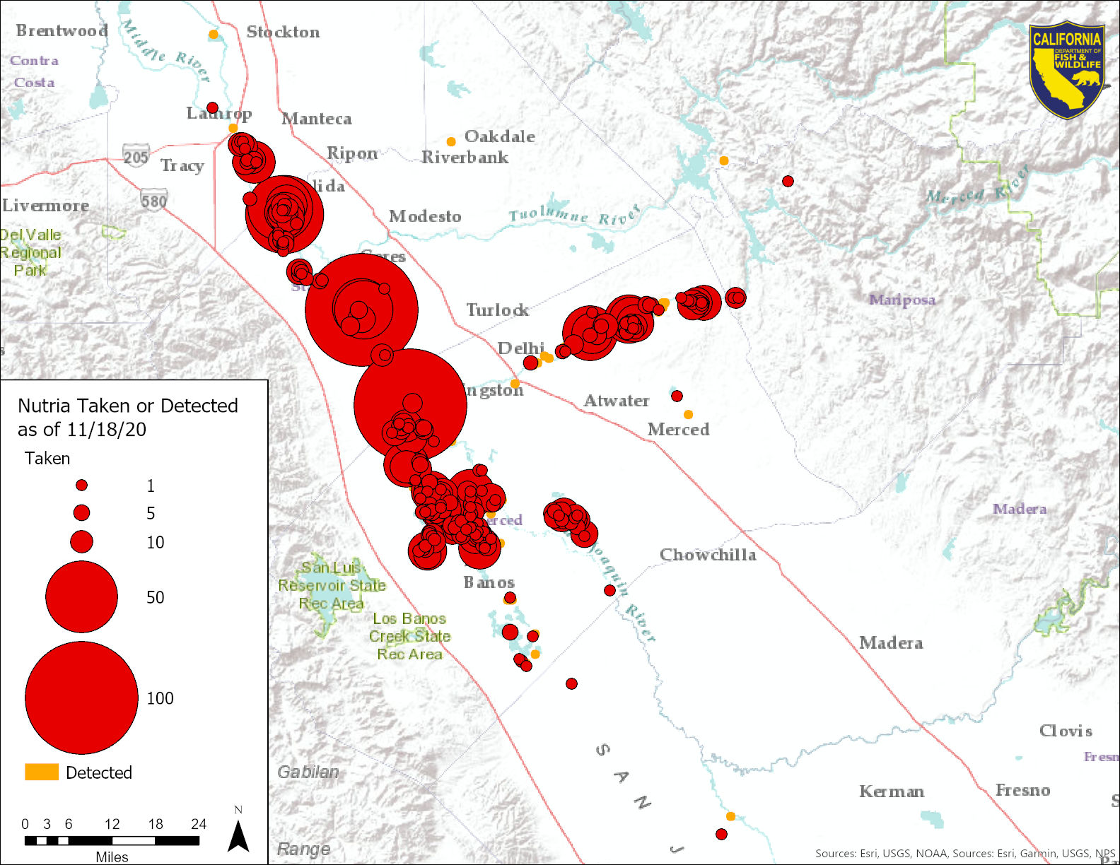 Map showing the locations of nutria taken or detected in California as of November 18, 2020.