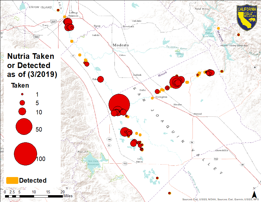 Map of nutria detections in California as of March 2019.
