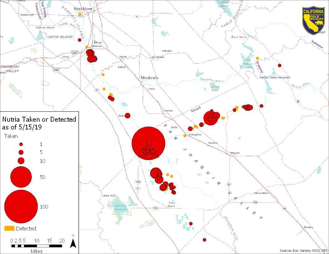 map of nutria taken or detected as of 5/2019