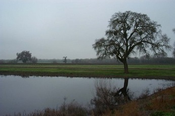 Image of Cosumnes River