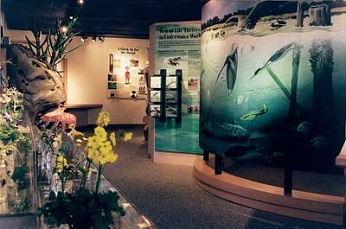 visitor center exhibits