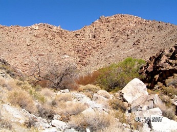 mid canyon - rocky hillside with sparse shrubs